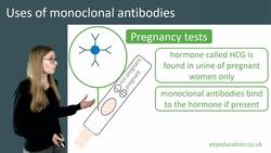 Uses of Monoclonal Antibodies: Applications and Advantages Instructional Video
