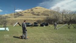Lethbridge Police Service trots out the newest member of its team News Clip