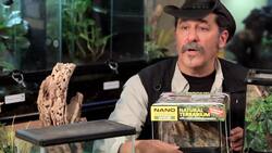 How to Pick Out & Set Up a Terrarium for Your Pet Tarantula Instructional Video