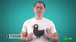 Fecal Shields, and 5 Other Ways Animals Use Poop Instructional Video