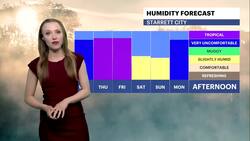 HEAT ALERT: Extreme heat and humidity bring air quality concerns to Brooklyn News Clip