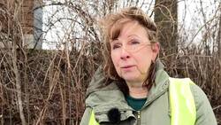 Dozens gather to plant wildflowers in Kitchener News Clip