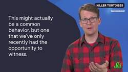 This Tortoise Has a Taste for Blood | SciShow News Instructional Video