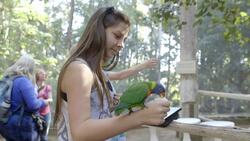 The San Diego Zoo Doubles its Flock of Lorikeets Instructional Video