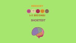 Memory Instructional Video