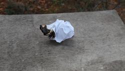 Heating and Cooling Changes Instructional Video