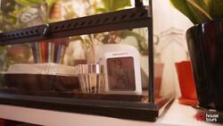 House Tours: This $3200/Month Apartment Is Home to Over 100 Plants! Instructional Video