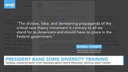 President Trump Bans 'Un-American' Anti-Racism Training News Clip