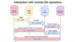 Complete Git Guide: Understand and Master Git and GitHub - Overview of the Push, Fetch, and Pull Git Commands Instructional Video
