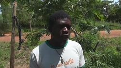 Sacred crocodiles live in harmony with the local population  Instructional Video