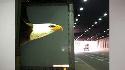 How to Use Your iPhone to Take Photos Instructional Video