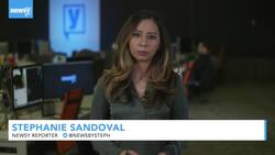 Proposal Would Let Vladimir Putin Remain Russia's President Until 2036 News Clip