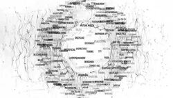 Dating Terms Stock Footage