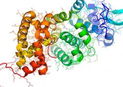 Organic molecule Instructional Video