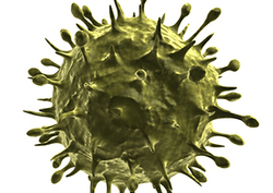 HIV/AIDS: Immune Evaders Instructional Video