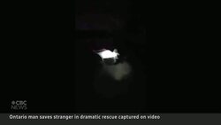 Ontario man saves stranger from sinking car News Clip