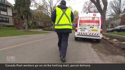 Canada Post strike impacts millions as busy holiday season gets underway News Clip