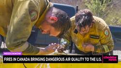 Smoke From Canadian Wildfires Impacts U.S. Air Quality News Clip