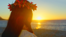 Sunset Instructional Video