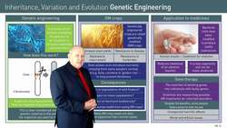 Genetic Engineering: Applications and Concerns Instructional Video