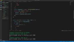 Practical GraphQL - Become a GraphQL Ninja - Wrapping Up the Application to Display a Profile Image Instructional Video