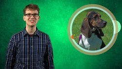 Weird Diagnostics Instructional Video