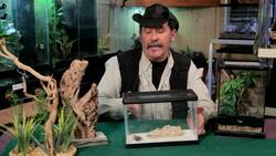 How to Clean Your Pet Tarantula's Terrarium Instructional Video