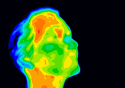 Homeostasis Instructional Video