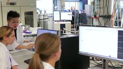 Biologists Working on Their Project Stock Footage