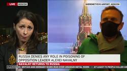 Police detain Kremlin critic Navalny on return to Russia News Clip