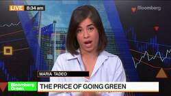 EU’s Green Deal Meets Resistance on Path to Net Zero News Clip
