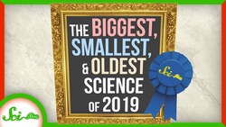 The Tallest, Smallest, and Oldest Science of 2019 Instructional Video