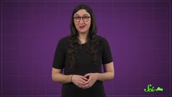 This Tree Oozes Metal Sap Instructional Video