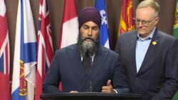 New foreign interference commissioner has 'confidence' of parties, says NDP News Clip