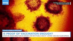 Is Proof Of Vaccination Enough To Slow Delta Spread? News Clip
