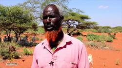 Somalia drought: ICRC warns of major humanitarian crisis News Clip