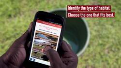 GLOBE Observer's Basic Mosquito Habitat Mapper: Getting Started Instructional Video