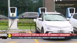 Global power demand hits record high in 2024 News Clip