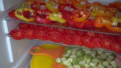 Freezing fresh vegetables at home Stock Footage