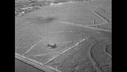 Hawaii, 1952: Evidence is seen on the lasting effects of the sugar industry in Hawaii as it is a major of income shown by the presence of many plantations Stock Footage