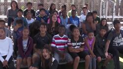 Mini Therapy Horses That Leave a Big Impact Instructional Video