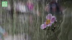 Happiness Made Simple - Outdoor Places Instructional Video