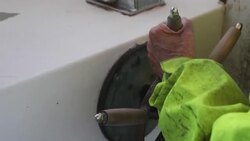 CLEAN : Maine's 'Lobster Lady' -- 101 and going strong News Clip