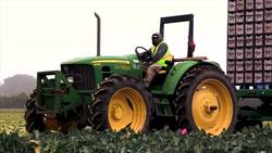 Math + Water = Strawberry Growth Instructional Video