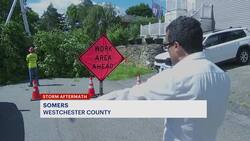 Storms pummel northern Westchester, about 30 downed trees in Somers News Clip