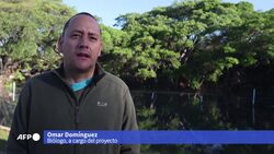 VOICED : El pez tequila se salva de la extinción y sensibiliza a comunidad en México News Clip