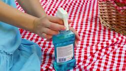 Quick and easy picnic hacks you can try Instructional Video