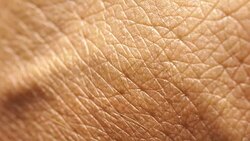 Human Skin Analysis Stock Footage