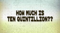 Bugging Out: Exploring the Fascinating World of Insects Instructional Video