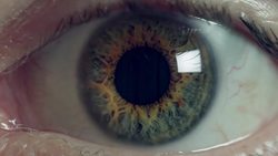 TED: Technology that knows what you're feeling | Poppy Crum Instructional Video